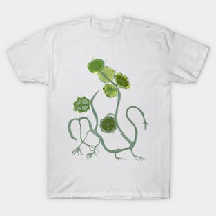 GREEN LEAVES WALKING T-Shirt